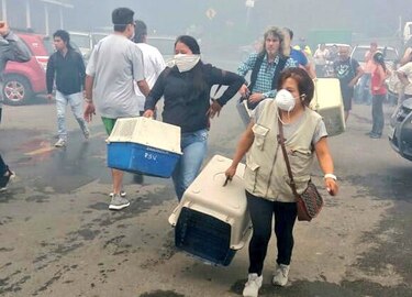 Incendio en Ecuador deja heridos y obliga a evacuar zoológico