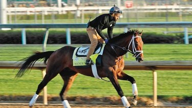 Justify larga como favorito en la próxima edición del Derby