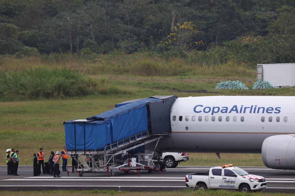 Impacto con aves en los cielos: cómo una colisión puede destruir un avión 
