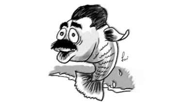 En Venezuela, el pescado no puede caminar