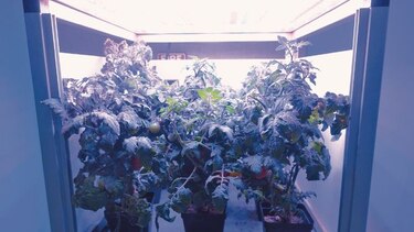 Reto: jardines más allá de la atmósfera