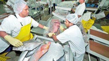 Buscan ampliar acuerdo