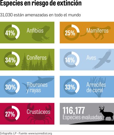 852 nuevas especies en riesgo