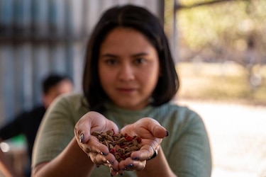 El exitoso emprendimiento hondureño que logró convertir el aceite de cocina usado en jabón y comida para perros