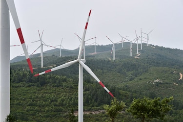 Delincuentes blanquean dinero invirtiendo en plantas de energía solar y eólica en Italia