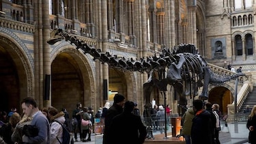 Cambio en museo de Londres, adiós al dinosaurio Dippy