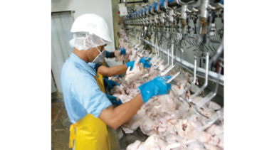 Baja en consumo reduce producción de carne de pollo