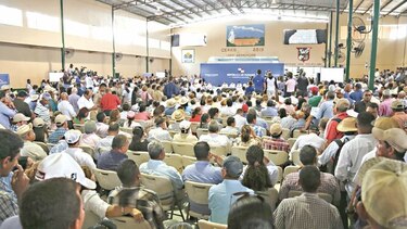 Destinarán el 75% del FECI para el agro