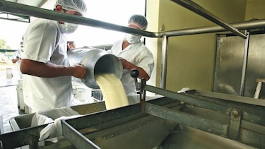 Importaciones de carne y queso, sin control adecuado