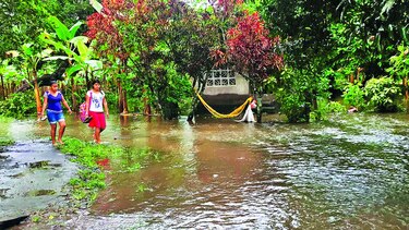 Lluvias dejan muerte y desolación