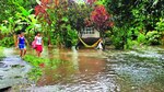 Lluvias dejan muerte y desolación