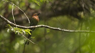 Gira para exploradores con ojos ágiles en el Parque Natural Metropolitano