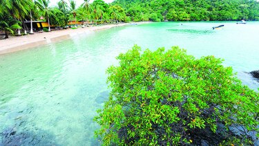 Prohíjan propuesta que modifica la ley de Coiba