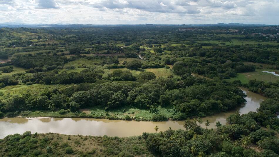 Panam Rio El agua llega limpia, pero el río La Villa está contaminado: el ...