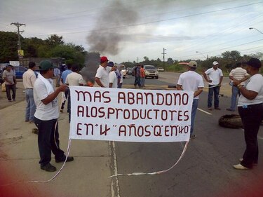 Arroceros coclesanos protestan en la Panamericana