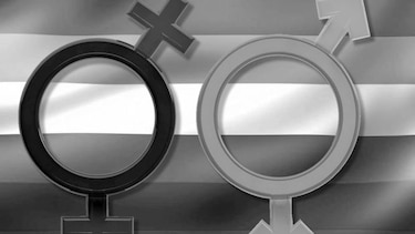De la cuestión gay
