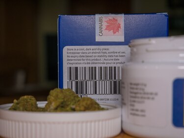 Panamá instala el Consejo de Cannabis Medicinal: conozca quiénes lo integran