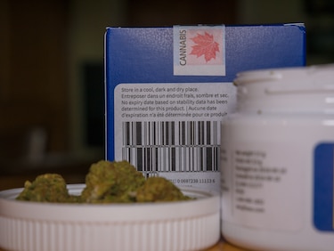 Cannabis medicinal gana terreno en Panamá: esto cambia para las farmacias