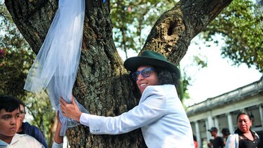 Actor se casa con un árbol en Guatemala