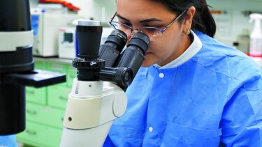 Avanzan pruebas de vacuna contra el zika