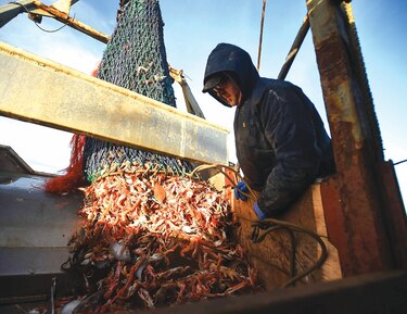 ‘Brexit’ amenaza a los pescadores escoceses