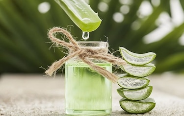 Beneficios del  aloe vera