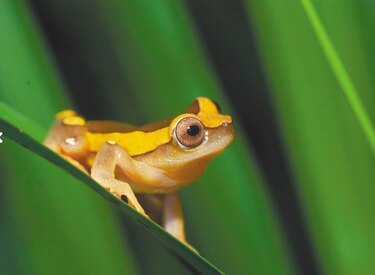 A empujones