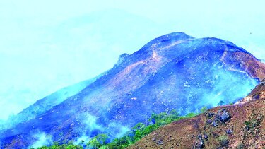 Bosques de Los Santos, vulnerables a incendios
