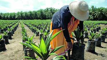 Definen estrategias para impulsar al sector agro