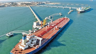 EU pide a China cronograma para apertura de mercados