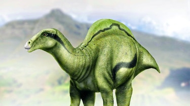 Hallan nueva especie de dinosaurio