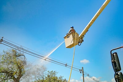 Naturgy responde con labores preventivas exhaustivas en su zona de operación
