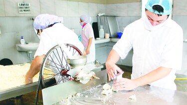 Tarea para elaborar el queso blanco