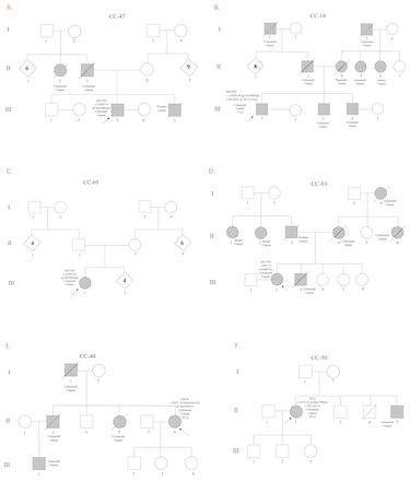 Mutación genética única detectada en pacientes con cáncer de colon en Azuero