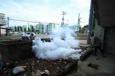 Advertencia: se prevé aumento en los casos de dengue en las próximas 3 a 4 semanas