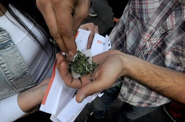 Marihuana medicinal obtiene el visto bueno del Seguro Social