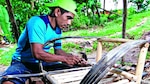 Arte, muebles y mimbre