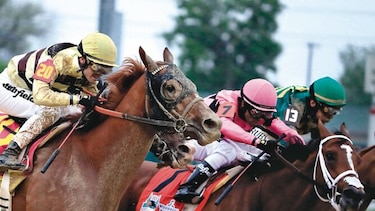 Country House no participará en el Preakness
