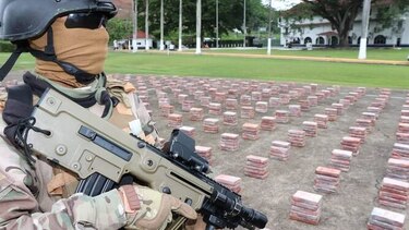 Senan incauta 1,517 paquetes con droga dentro un contenedor en Colón