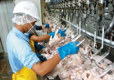 Crece importación de pollo, avicultores alistan propuesta para presentar a Estados Unidos