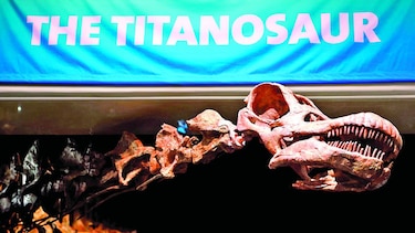Nombran nueva especie de dinosaurio