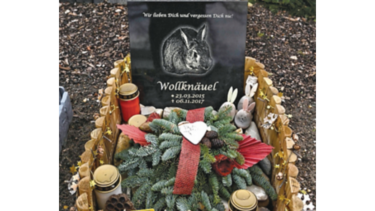 Un cementerio en Alemania es el ‘cielo de los animales’