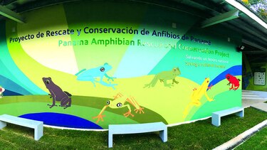 Abren nuevo refugio para la conservación de anfibios