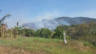 Investigarán incendio ocurrido en el Parque Nacional de Altos de Campana