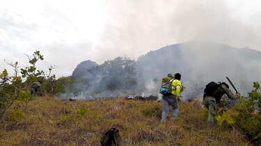 Un incendio afecta  30 hectáreas de la reserva hídrica Cerro Guacamaya en Penonomé
