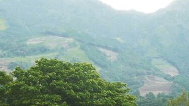 Agricultura se expande hacia el volcán Barú