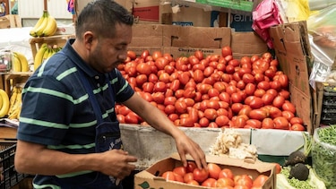 3 efectos que pueden tener los aranceles que Trump impuso a los tomates mexicanos