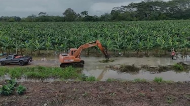 Bloqueo en la desembocadura del río San San mantiene inundadas fincas y comunidades de Changuinola, según productor