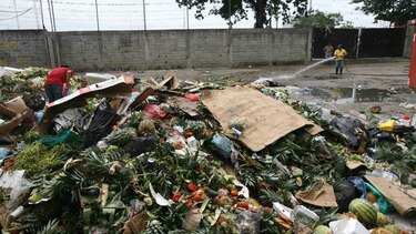 Frutas, vegetales y hortalizas terminan tirados en la basura