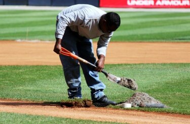 Grama del Rod Carew será removida a partir del próximo lunes